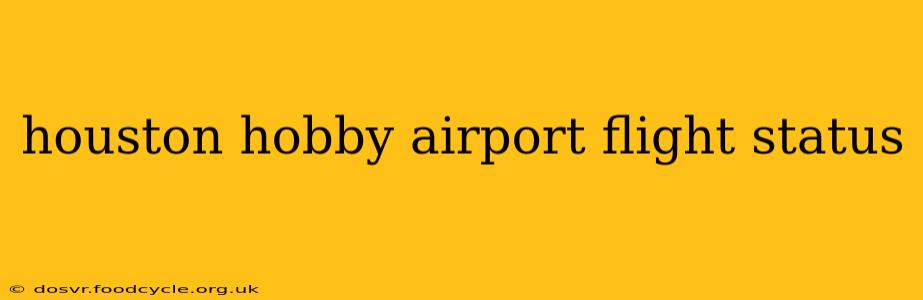houston hobby airport flight status