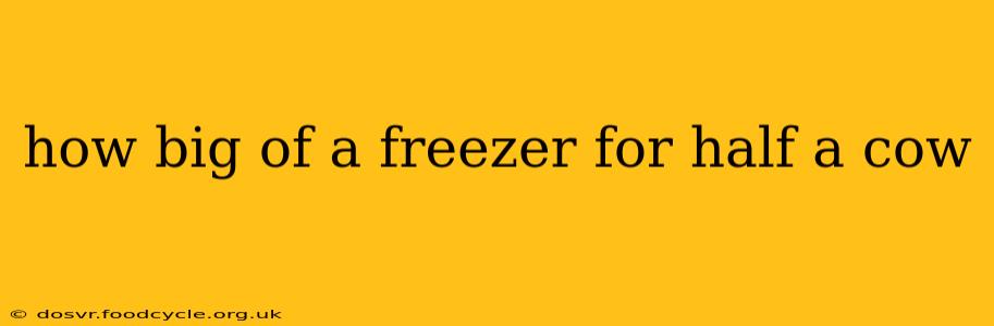 how big of a freezer for half a cow