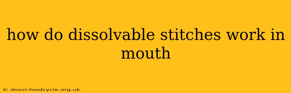 how do dissolvable stitches work in mouth