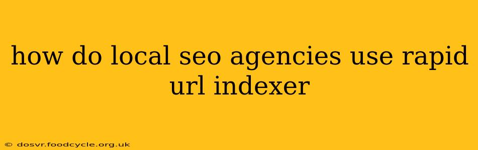 how do local seo agencies use rapid url indexer