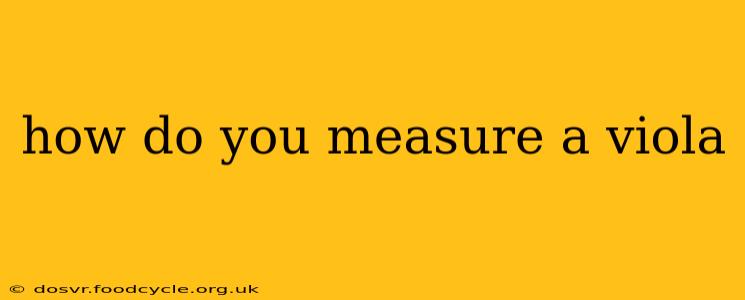 how do you measure a viola