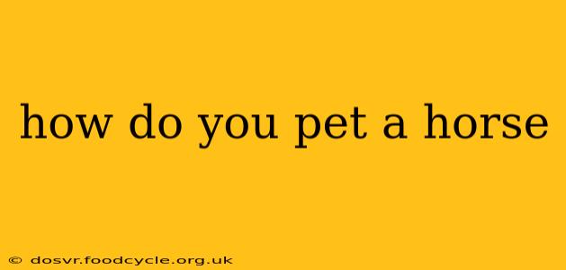 how do you pet a horse