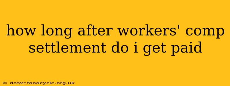 how long after workers' comp settlement do i get paid