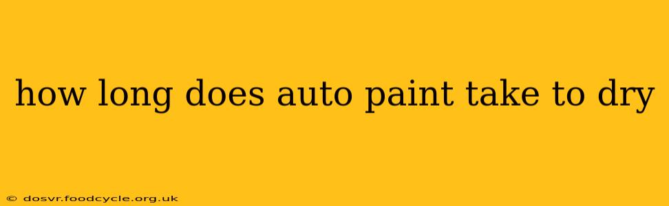 how long does auto paint take to dry