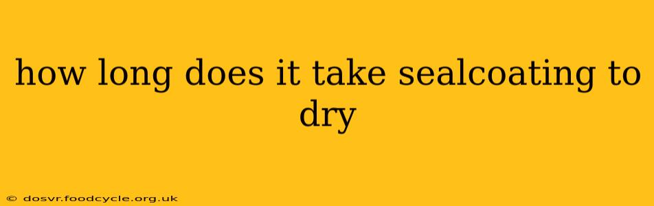 how long does it take sealcoating to dry