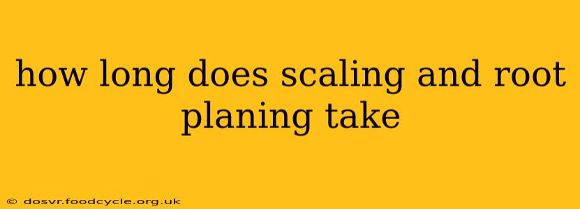 how long does scaling and root planing take