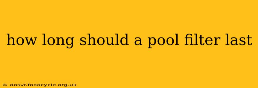how long should a pool filter last