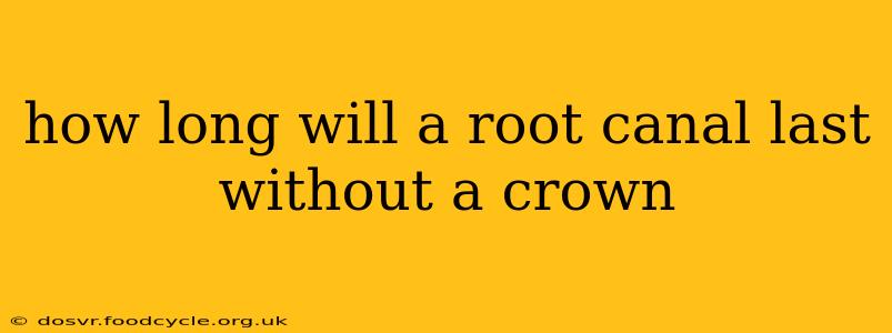 how long will a root canal last without a crown