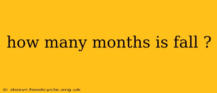 how many months is fall ?
