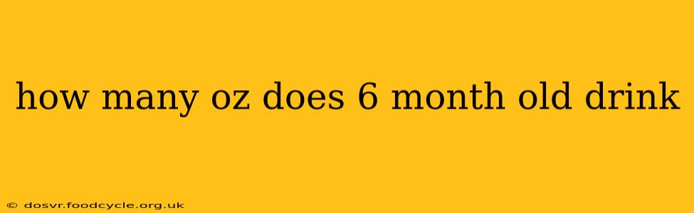 how many oz does 6 month old drink