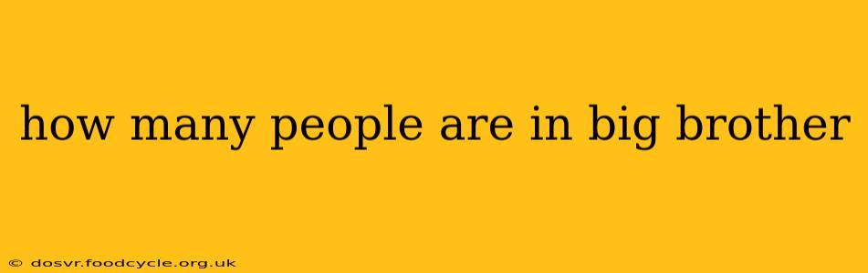 how many people are in big brother