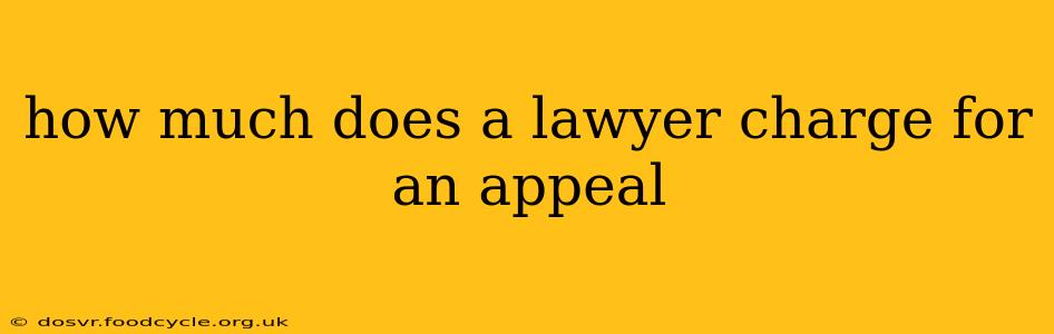 how much does a lawyer charge for an appeal