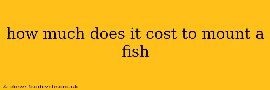 how much does it cost to mount a fish