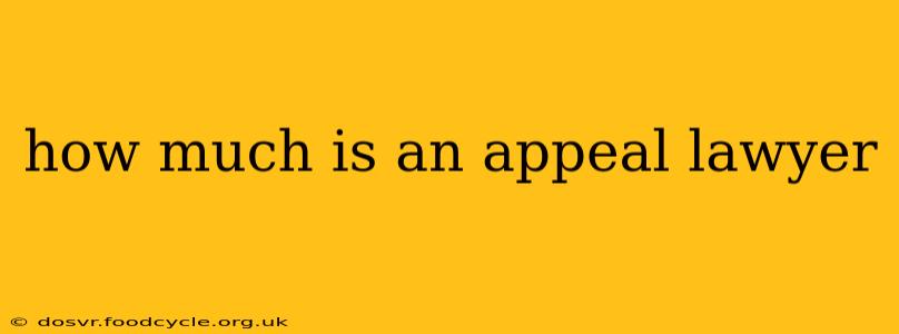 how much is an appeal lawyer