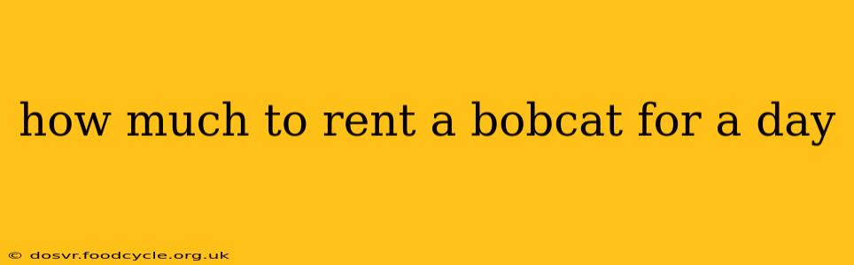 how much to rent a bobcat for a day