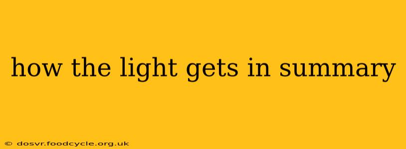 how the light gets in summary
