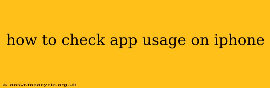 how to check app usage on iphone