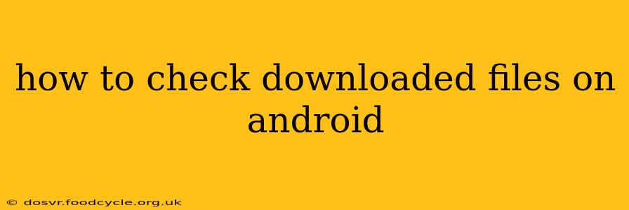 how to check downloaded files on android