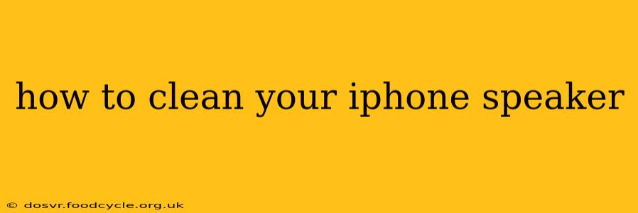 how to clean your iphone speaker