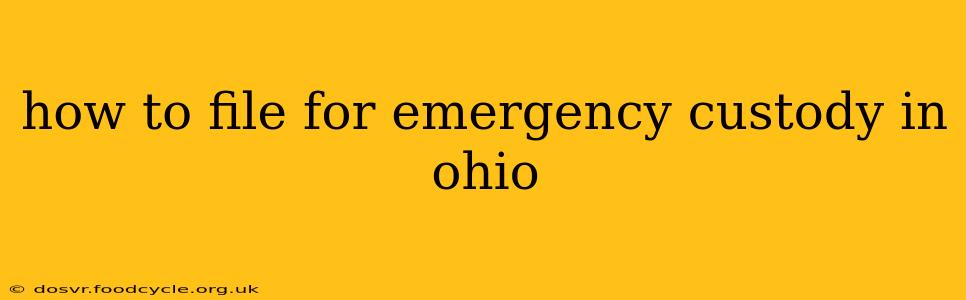 how to file for emergency custody in ohio