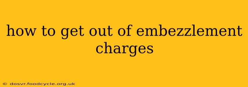 how to get out of embezzlement charges