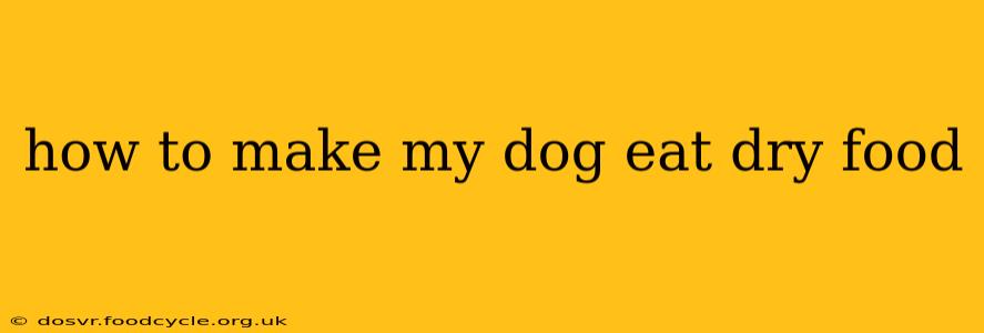 how to make my dog eat dry food