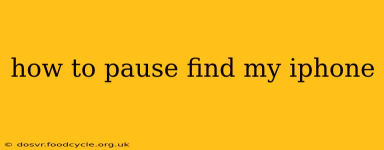 how to pause find my iphone