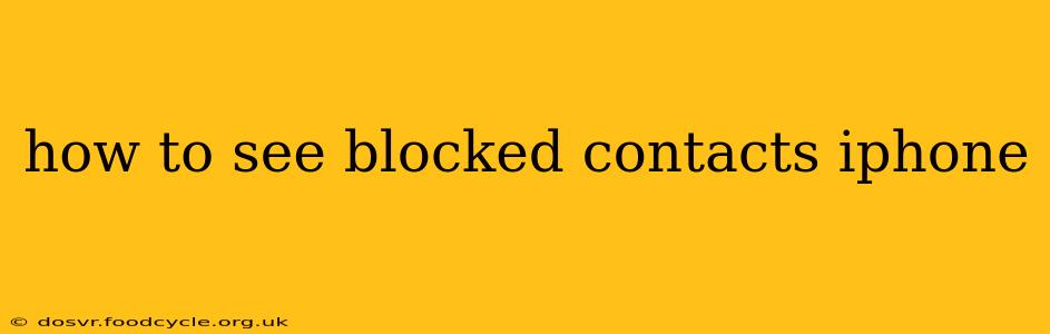 how to see blocked contacts iphone