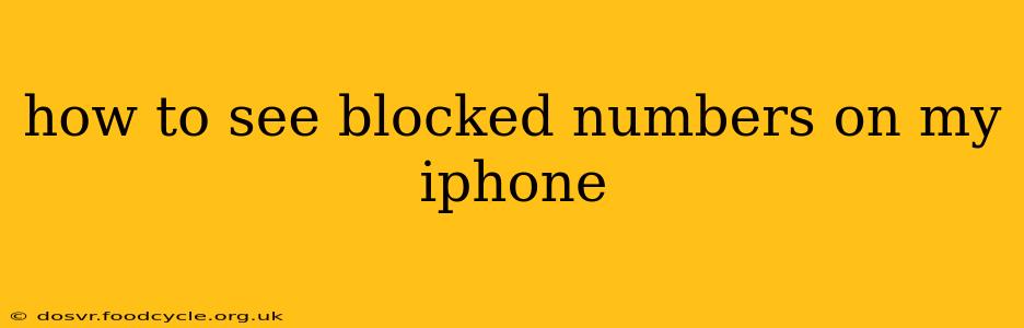 how to see blocked numbers on my iphone