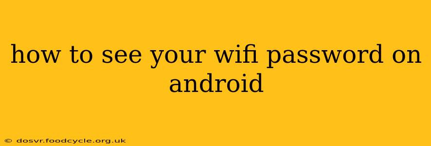how to see your wifi password on android