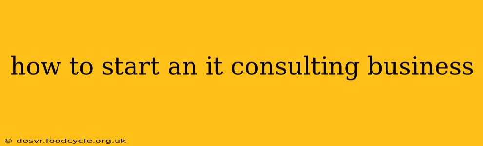 how to start an it consulting business