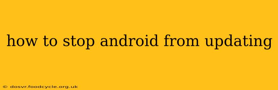 how to stop android from updating