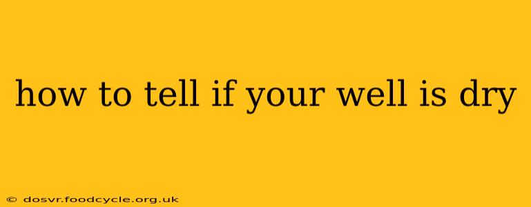 how to tell if your well is dry