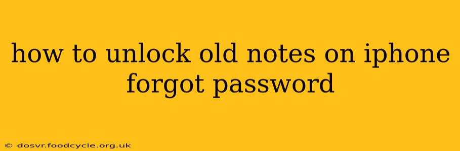 how to unlock old notes on iphone forgot password