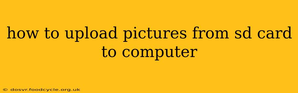 how to upload pictures from sd card to computer