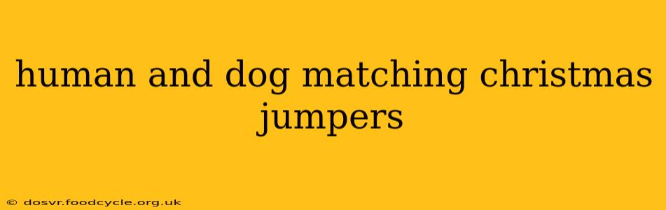 human and dog matching christmas jumpers
