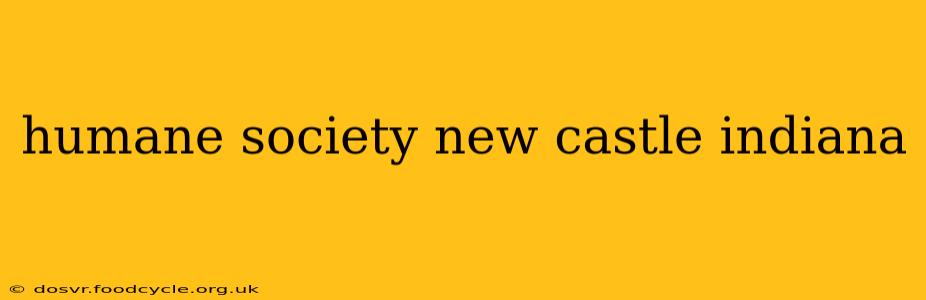 humane society new castle indiana