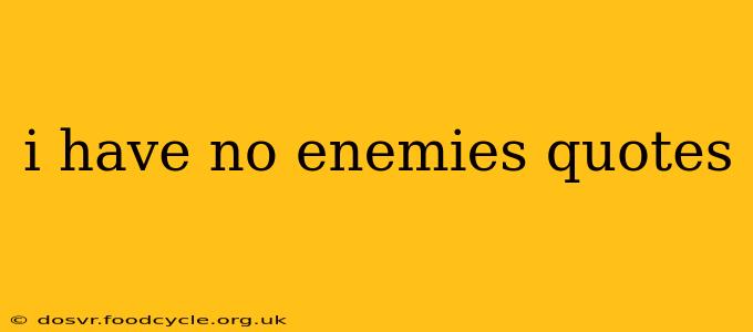 i have no enemies quotes