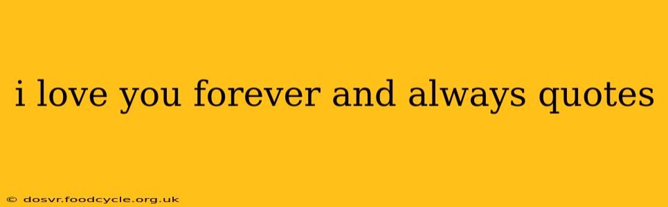 i love you forever and always quotes