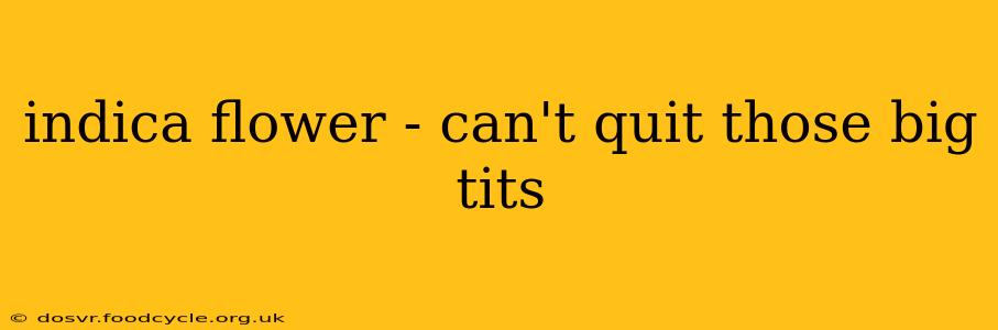 indica flower - can't quit those big tits