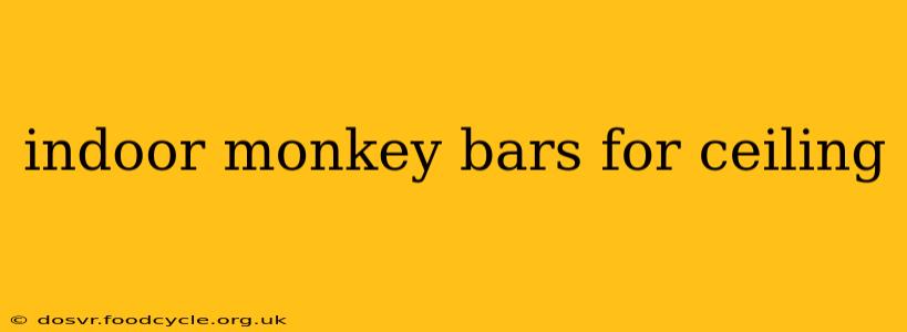 indoor monkey bars for ceiling