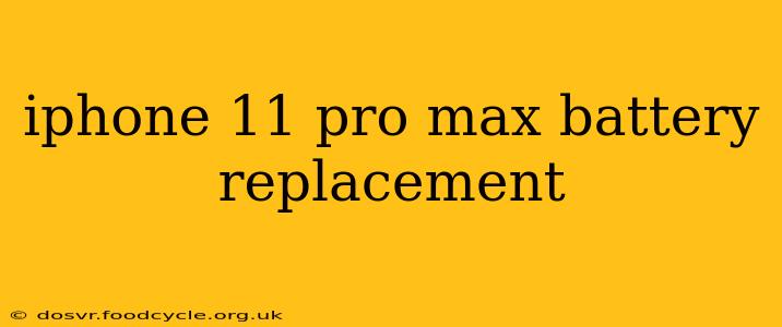 iphone 11 pro max battery replacement