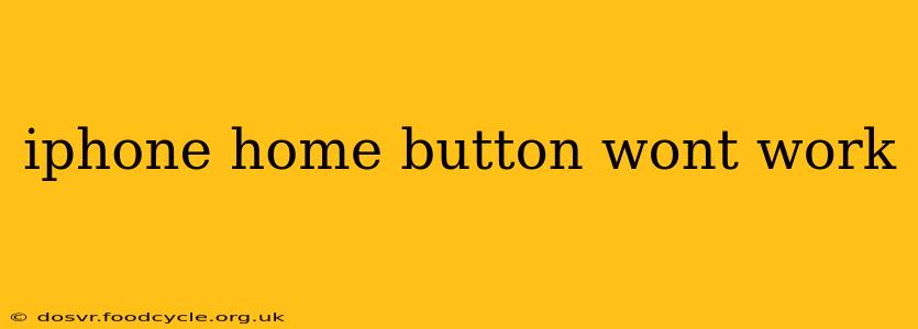 iphone home button wont work