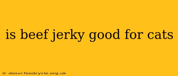 is beef jerky good for cats