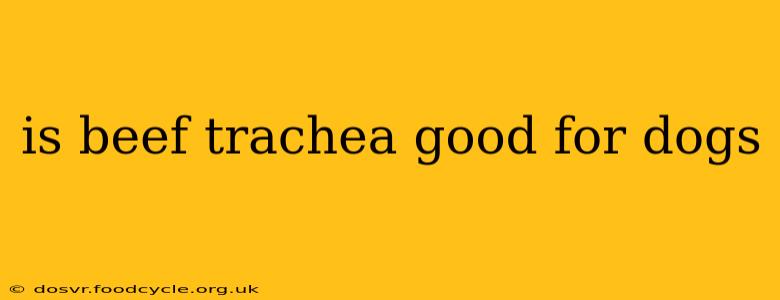 is beef trachea good for dogs