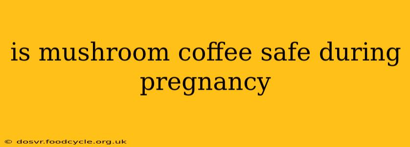 is mushroom coffee safe during pregnancy
