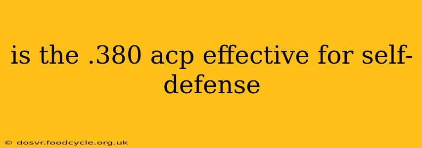 is the .380 acp effective for self-defense