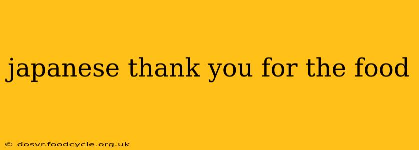 japanese thank you for the food
