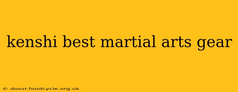 kenshi best martial arts gear