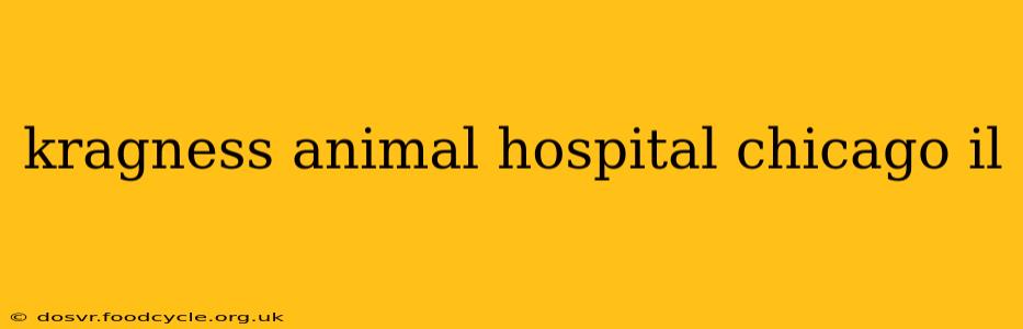 kragness animal hospital chicago il